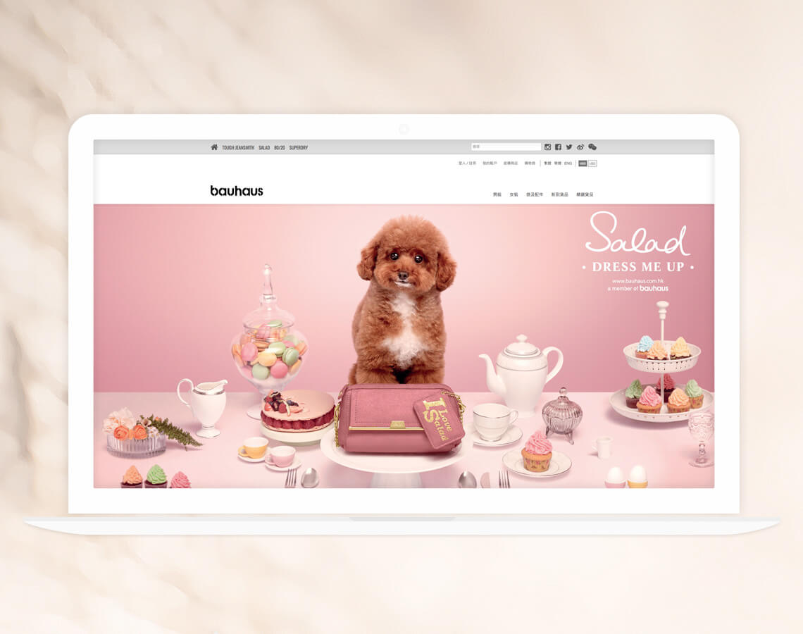 Bauhaus International (Holdings) Ltd. Website in desktop